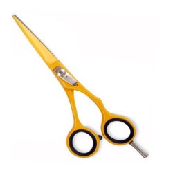 Professional Hair Cutting Scissor,